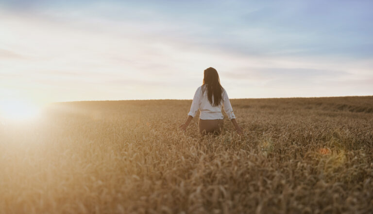Indlæg kommer snart